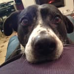 Kevin Deakin - @kevin.deakin - Instagram