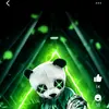 Kevin Dedes - @kevindedes - TikTok