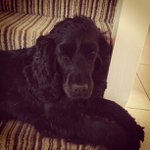 Kevin Dehaven - @coertivi - Instagram