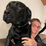Kevin De Schepper - @kevin.deschepper - Instagram