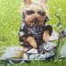 Kevin Dines - Facebook