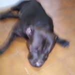 Kevin Di Rocco - @kevin.dirocco.585 - Instagram