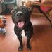 Kevin Di Rocco - Facebook