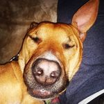 Kevin Doane - @kevincdoane - Instagram