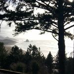 kevin donley - @kdog_503 - Instagram