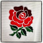 Kevin Donnellan - @kevdonnellan - Instagram