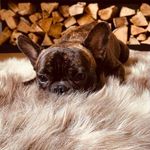 Kevin Donner - @kev_donner - Instagram