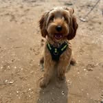 Kevin Down - @down159 - Instagram