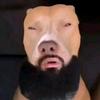 Kevin🗿🫡 - @kevindown4 - TikTok
