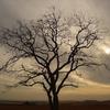 Kevin Driskell - @kevin.driskell0 - TikTok