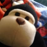 Këvïn - @kevin_dude_yolo - Instagram