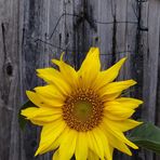 Kevin Dullaghan - Facebook