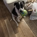 Kevin Dutton - Facebook