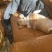 Kevin Eckhardt - Facebook