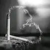 Eddy.kevin - @eddy.kevin - TikTok