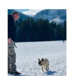 Kevin Edgecombe - @scamp13 - Instagram