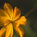 Kevin Effertz - Facebook