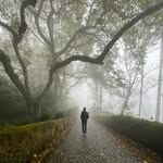 Kevin Eilers - @kevineilers94 - Instagram
