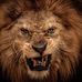 Kevin Elms - Facebook