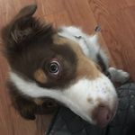 Kevin Elsner - @elsner_kevin - Instagram