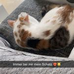 Kevin Elsner - @elsner625 - Instagram