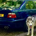 Kevinemms - @kevems2112 - Instagram