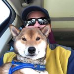 Kevin Emory - @misterpapabear - Instagram