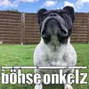 Kevin Ernst - @kevinernst2 - TikTok