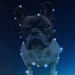 Kevin Ernst - @kevin.ernst.79 - Instagram