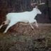 Kevin Eshleman - Facebook
