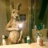 Kevin Espinal - @kevin.espinal74 - TikTok