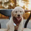 Kevin Eugene - @kevinh.thegolden - TikTok