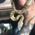 Kevin Everett - @keverett1025 - Instagram
