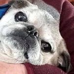 Kevin Everett - @kevin.everett.526 - Instagram