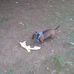 Kevin Exum - Facebook