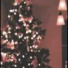 djdbdb - @pullfail.by.kevin.felix - TikTok