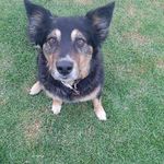 Kevin Bruce Falconer - @kevinbrucefalconer - Instagram