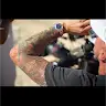 Kevin Falconer - @kevinfalconer - TikTok
