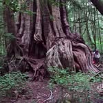Kevin Falconer - @kevin.falconer.144 - Instagram