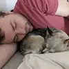 Kevin - @kevin_fallon - TikTok