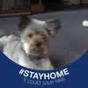 Kevin Feather - @kevin.feather - TikTok