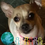 Kevin Lee Feather - Facebook