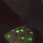 Fedak Kevin - @kevinfedak - Instagram