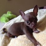Kevin Fenner - @fenner.kevin - Instagram
