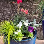 Kevin Ferrin - @restaurant_plant_solutions - Instagram
