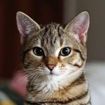 Kevin Finkel - @kevin_finkel - Instagram