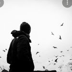 Kevin Finkel - @kevinfinkel8 - Instagram