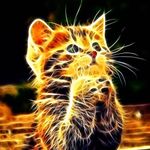 Kevin Finkelgruen - @kevinfinkelgruen - Instagram