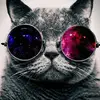 kevin johnston963 - @kevinflaggert963 - TikTok