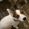 skeeterkev - @kevinflaherty79 - TikTok